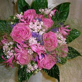 fwthumbCNV00007 (2).jpg